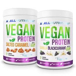 2 X Vegan Protein 500g