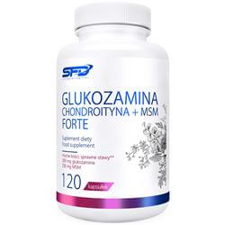 Glukozamina Chondroityna + Msm Forte